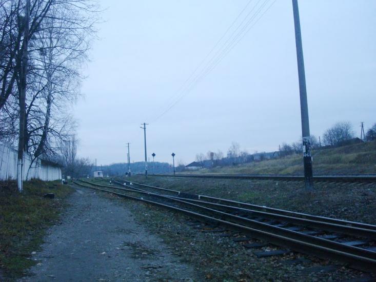 Щиборівка з panoramio.com - Щиборівка