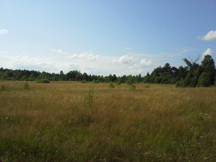 Вирка з panoramio.com - Вырка