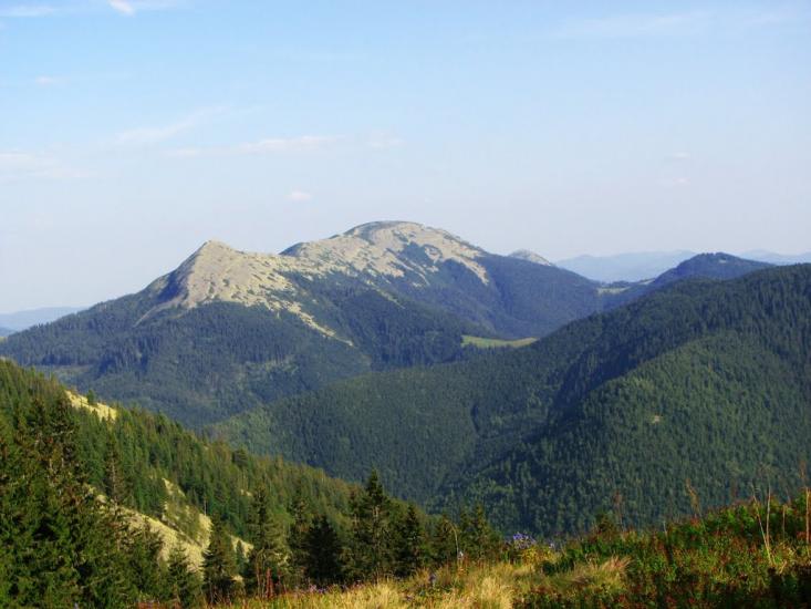 Черник з panoramio.com - Черник