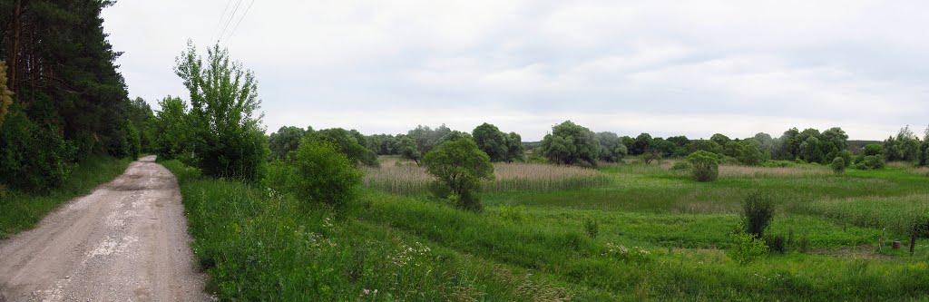 Приліпка з panoramio.com - Прилипка