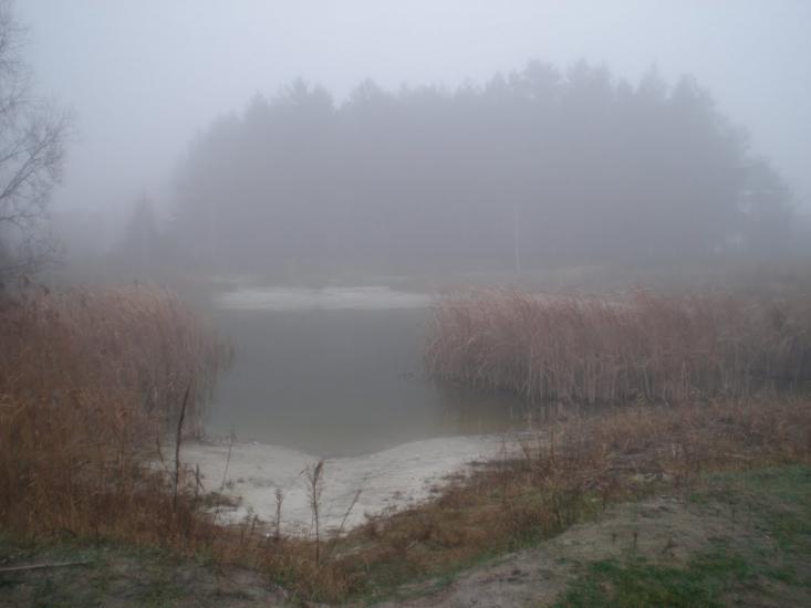 Нова Буда з panoramio.com - Новая Буда