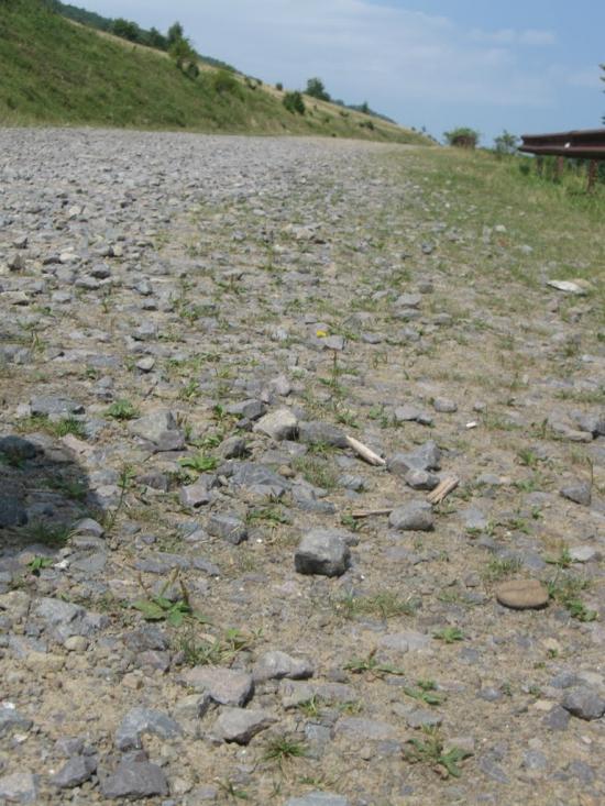 Пилипець з panoramio.com - Пилипец