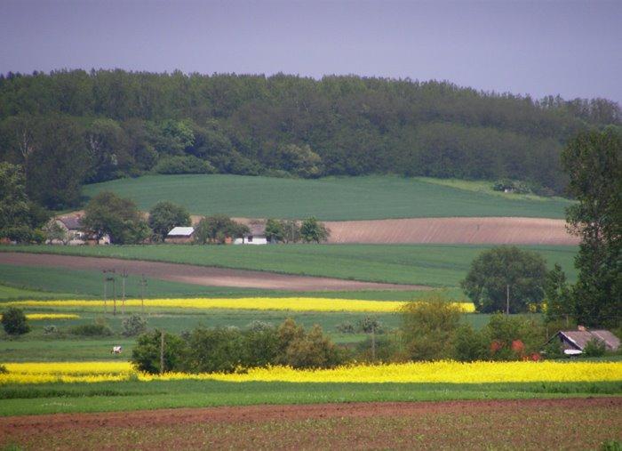 Корчів з panoramio.com - Корчів