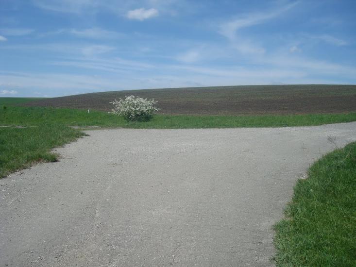 Мацьківці з panoramio.com - Мацьковцы