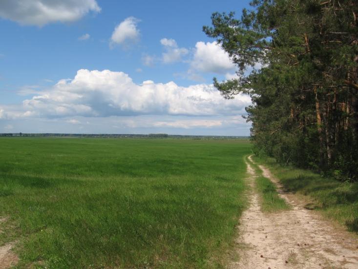 Товстоліс з panoramio.com - Толстолес