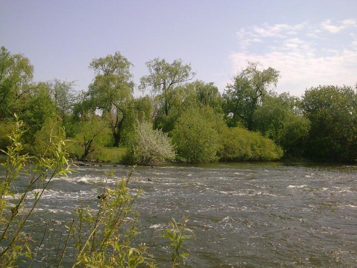 Новокурське з panoramio.com - Новокурське