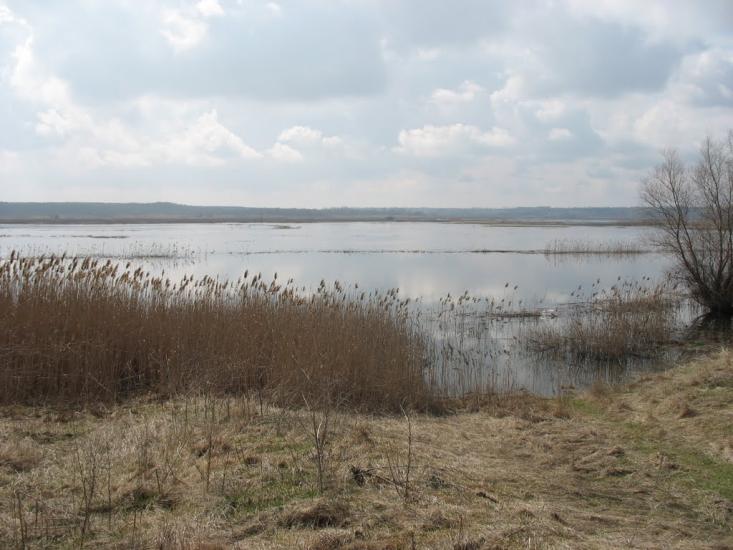 Усть-Лип'янка з panoramio.com - Усть-Липянка