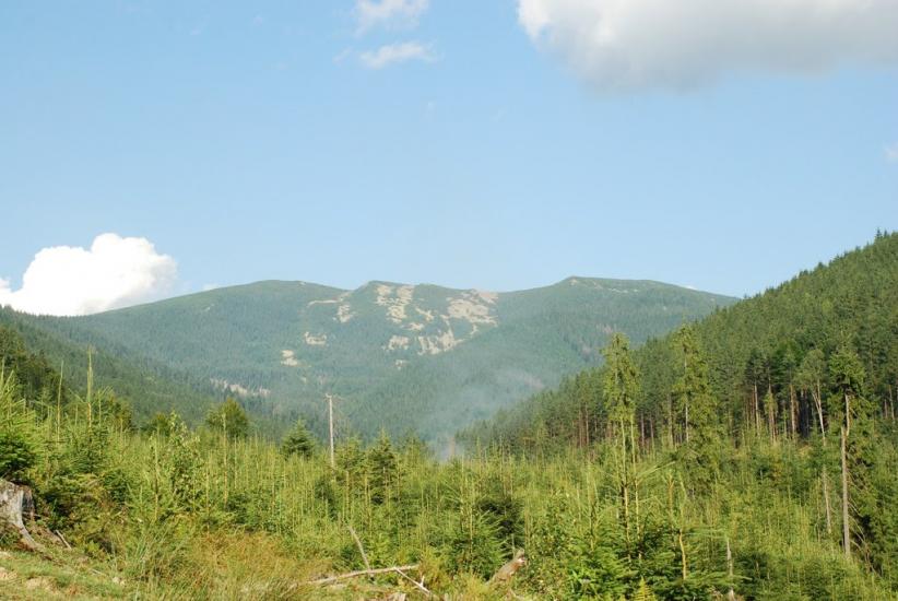 Бистриця з panoramio.com - Bystrytsya