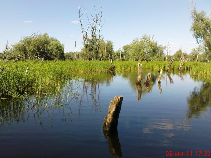 Пекарі з panoramio.com - Пекарі