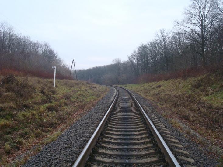 Радісне з panoramio.com - Радостное