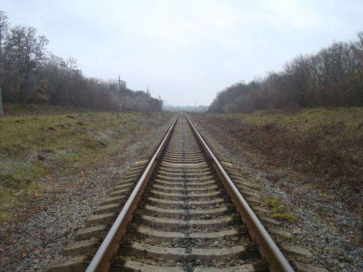 Воронківці з panoramio.com - Воронковцы