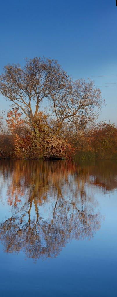 Дем'янів з panoramio.com - Демьянов