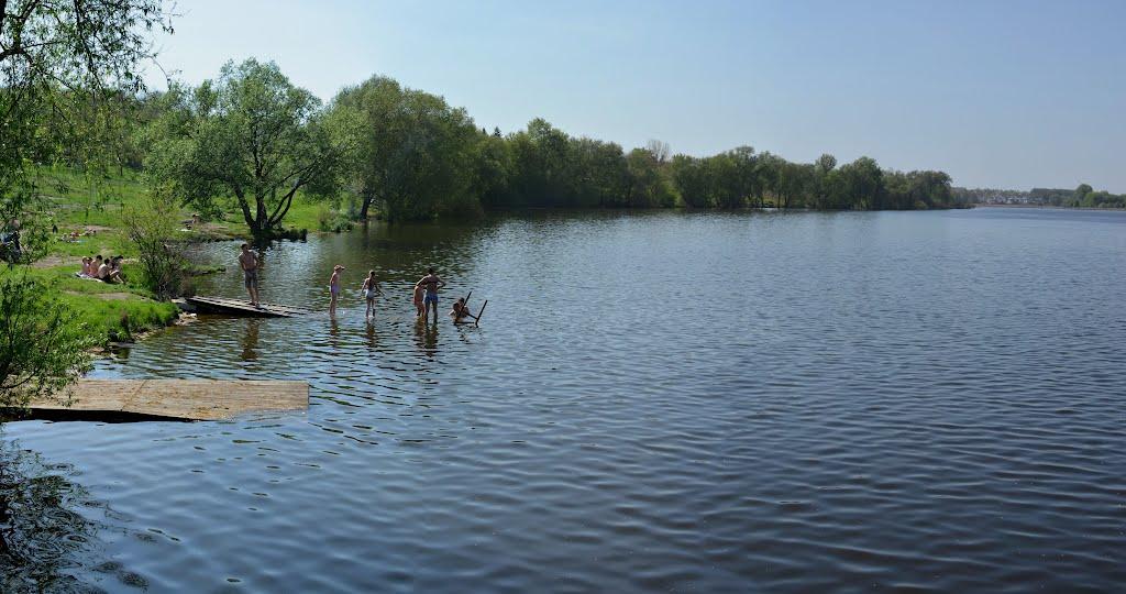 Городецьке з panoramio.com - Gorodetske