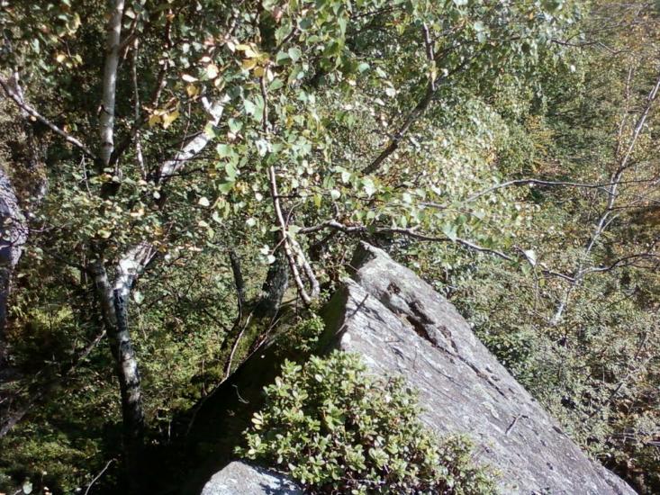 Труханів з panoramio.com - Trukhaniv
