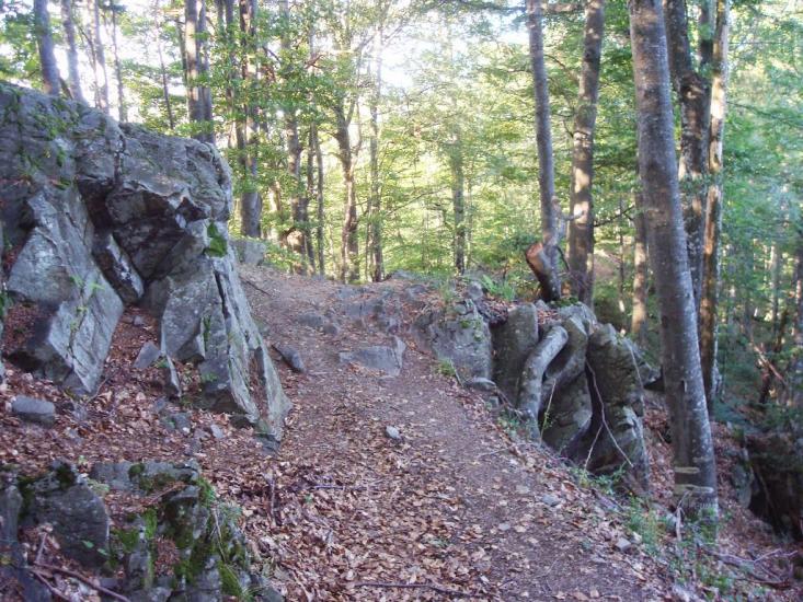 Красна з panoramio.com - Krasna