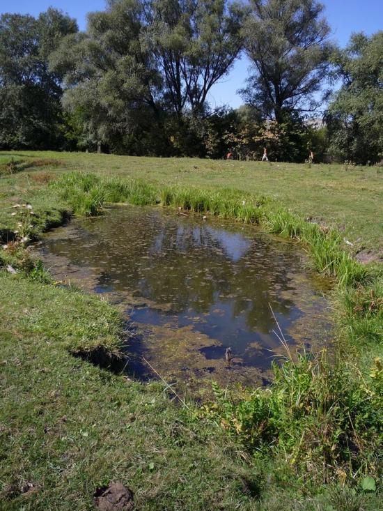 Біленьке з panoramio.com - Біленьке