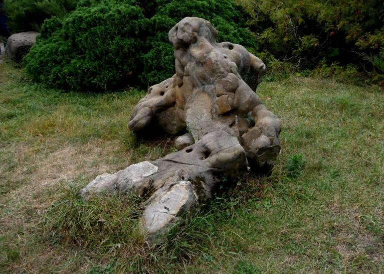 Васьківці з panoramio.com - Васьківці