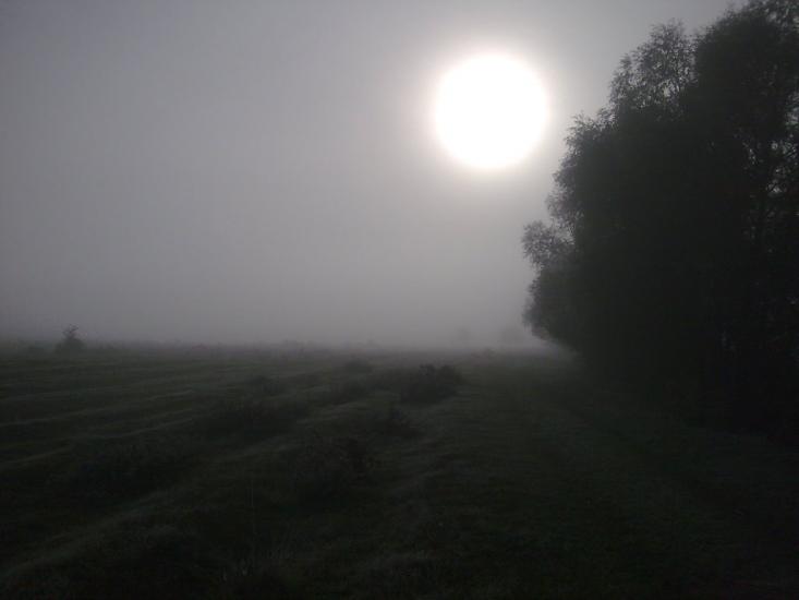 Мутин з panoramio.com - Mutyn