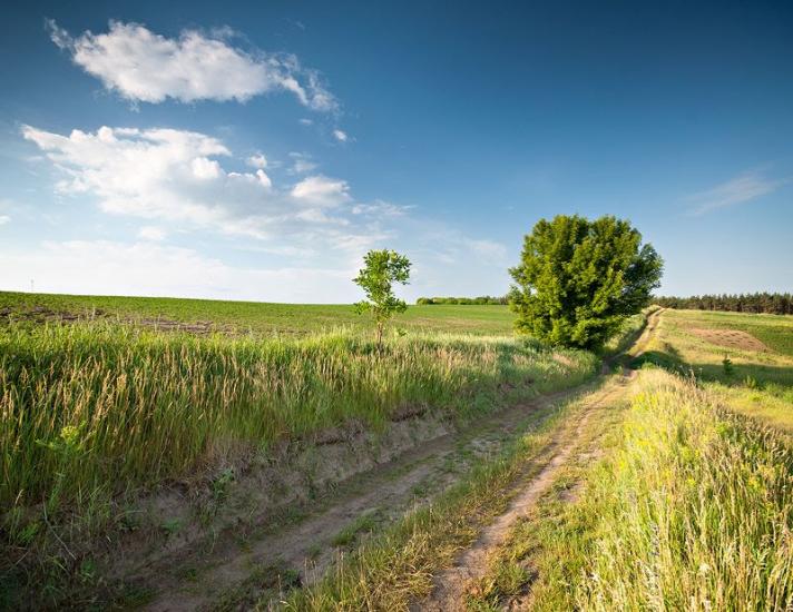 Гулі з panoramio.com - Guli