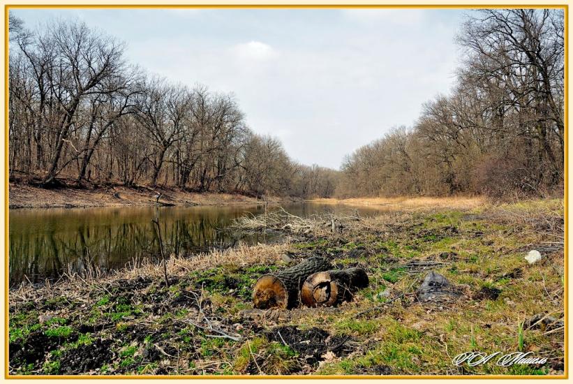 Шипилівка з panoramio.com - Shypylivka