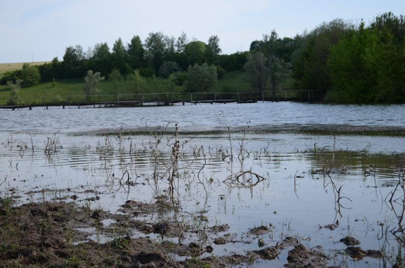 Замірці з panoramio.com - Замірці