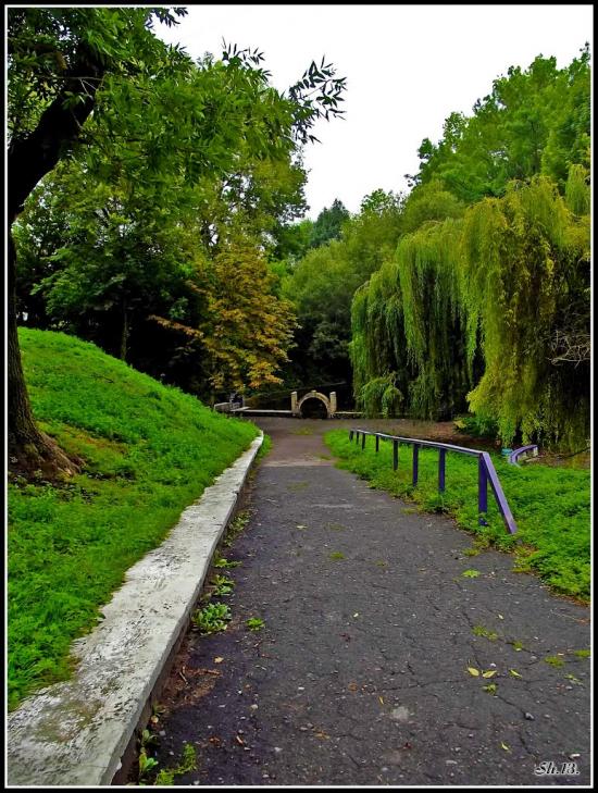 Олександрія з panoramio.com - Александрия