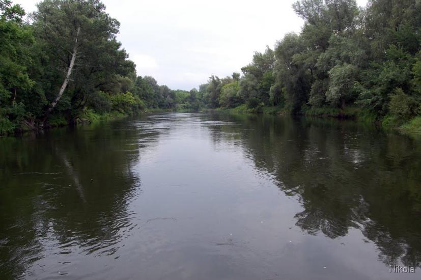 Нижнє з panoramio.com - Nyzhnye