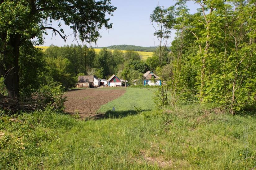 Чернявка з panoramio.com - Чернявка