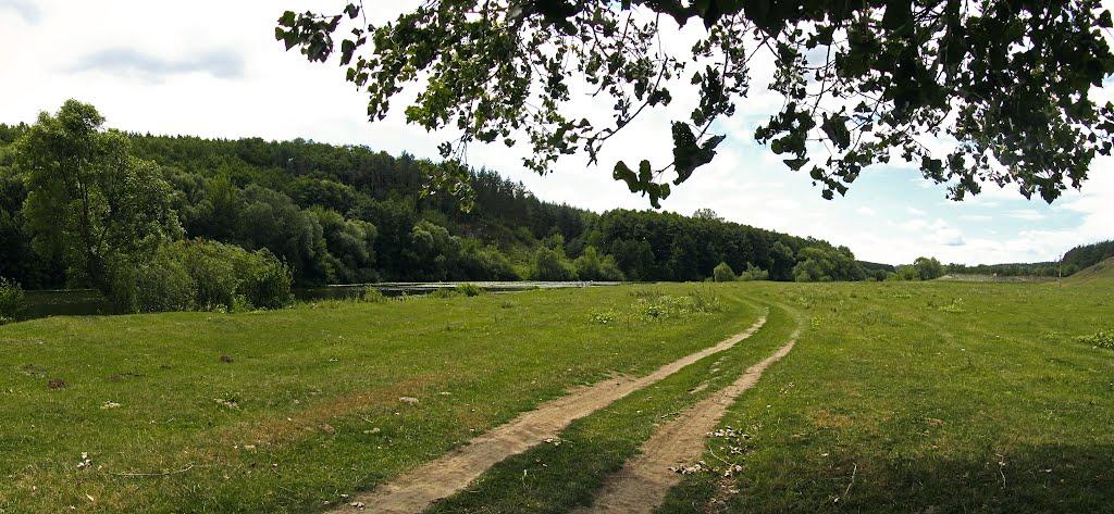 Прибузьке з panoramio.com - Прибугское