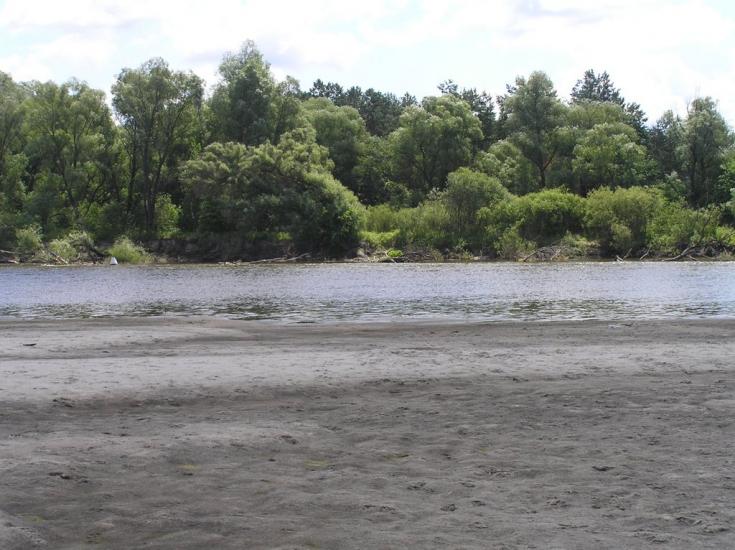 Вища Дубечня з panoramio.com - Высшая Дубечня