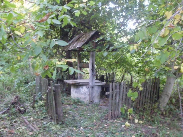Карбівське з panoramio.com - Karbivske