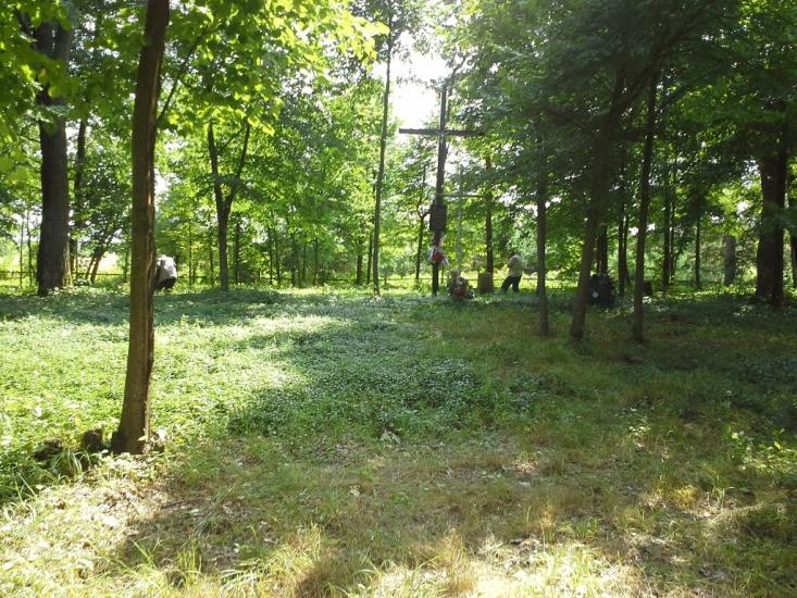 Вирка з panoramio.com - Вырка