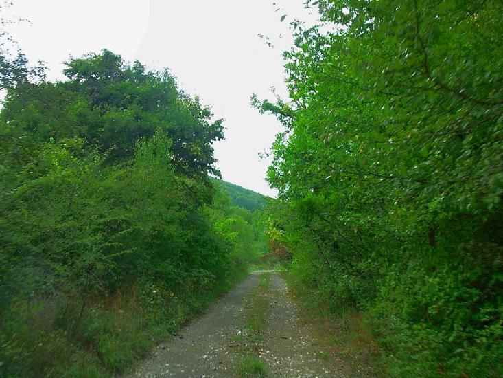 Щасливе з panoramio.com - Schaslyve