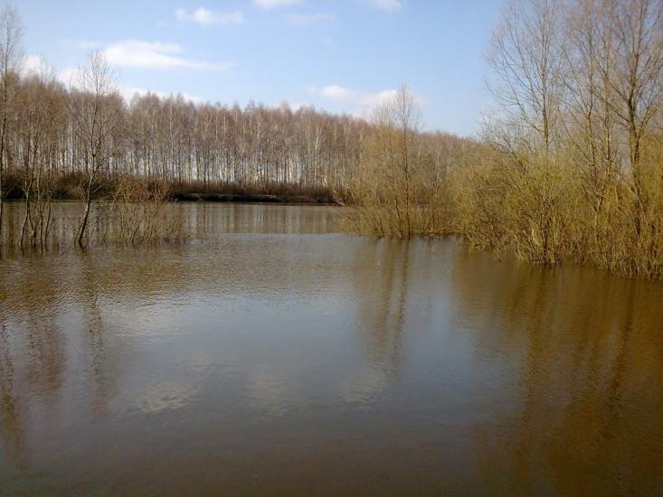 Камінь з panoramio.com - Камінь