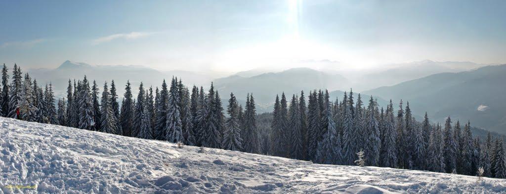 Стебний з panoramio.com - Стебний
