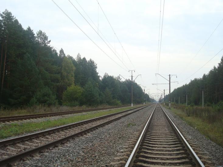 Цвітоха з panoramio.com - Tsvitokha