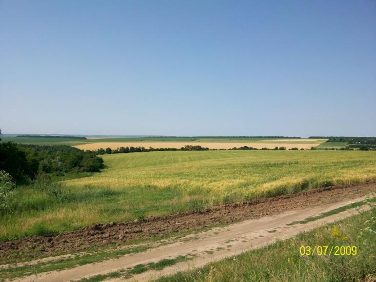 Михайлівка з panoramio.com - Михайловка