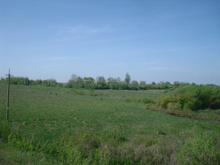 Шевченка з panoramio.com - Шевченко