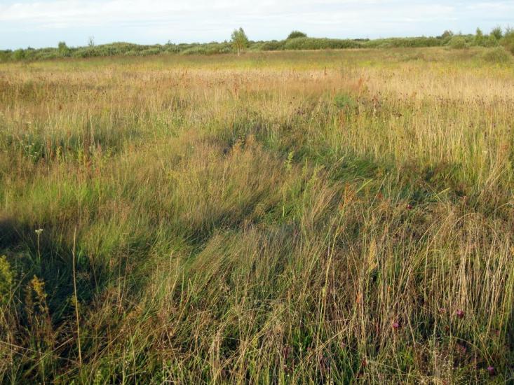 Хабарище з panoramio.com - Хабарище