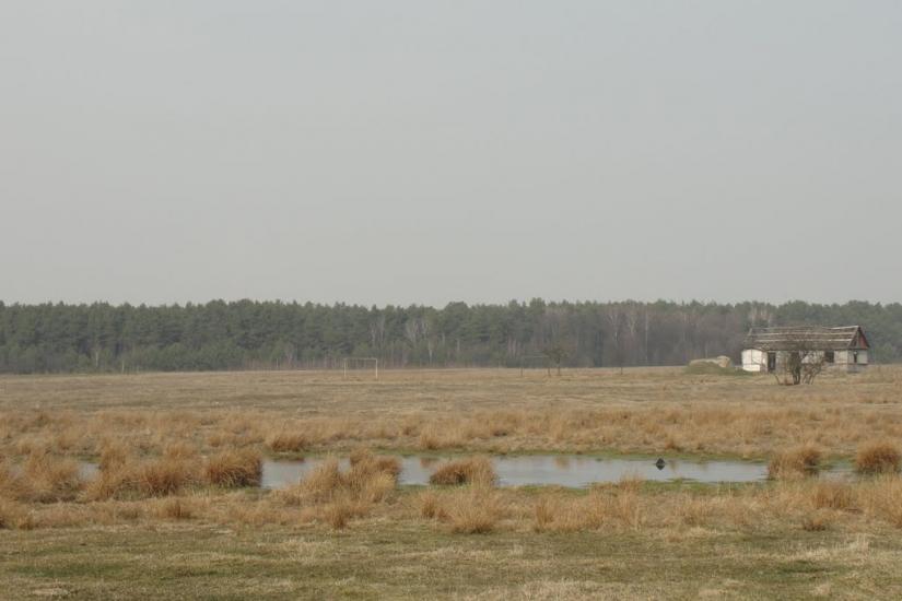 Дідовичі з panoramio.com - Дідовичі