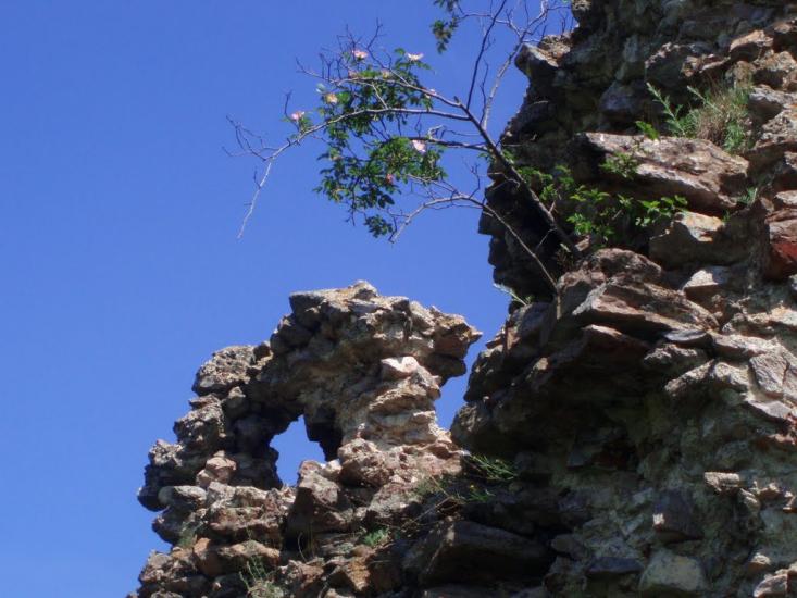 Королево з panoramio.com - Королево