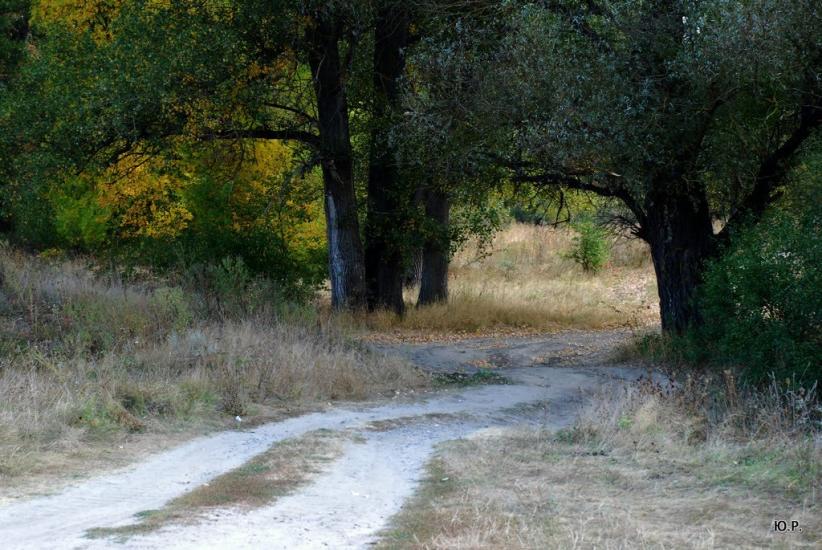 Гавронці з panoramio.com - Гавронці