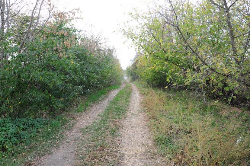 Тхорівка з panoramio.com - Тхоровка