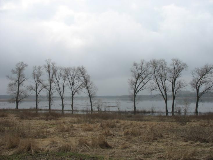 Усть-Лип'янка з panoramio.com - Усть-Лип'янка