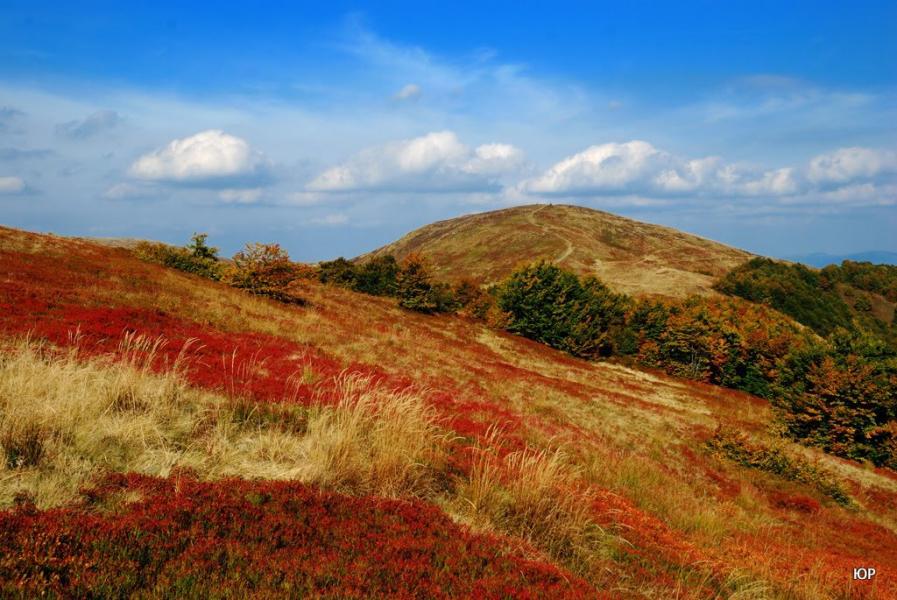 Потік з panoramio.com - Поток