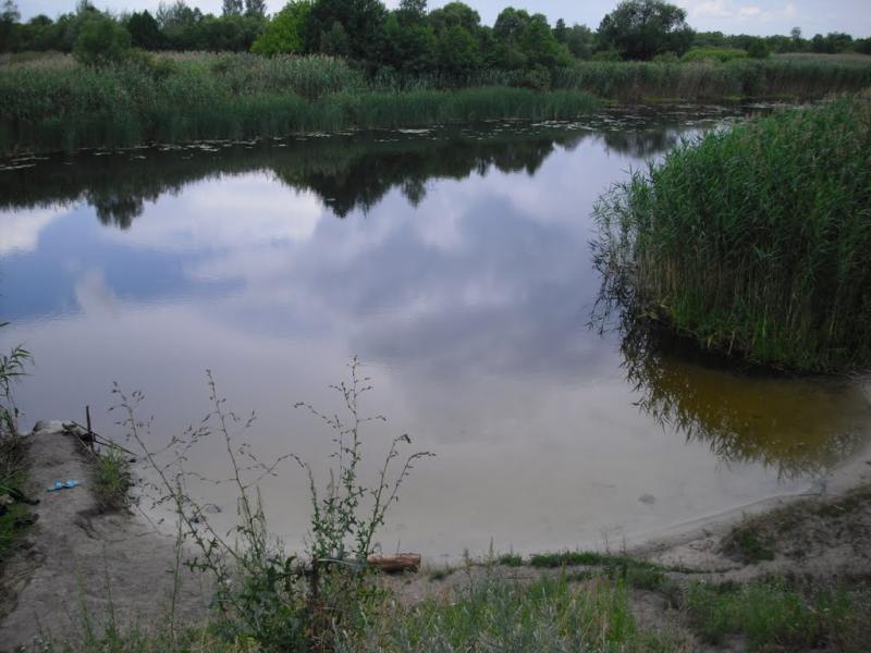 Кам'янка з panoramio.com - Каменка