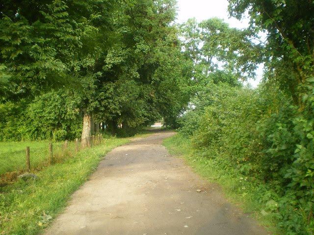 Черепашинці з panoramio.com - Cherepashyntsi