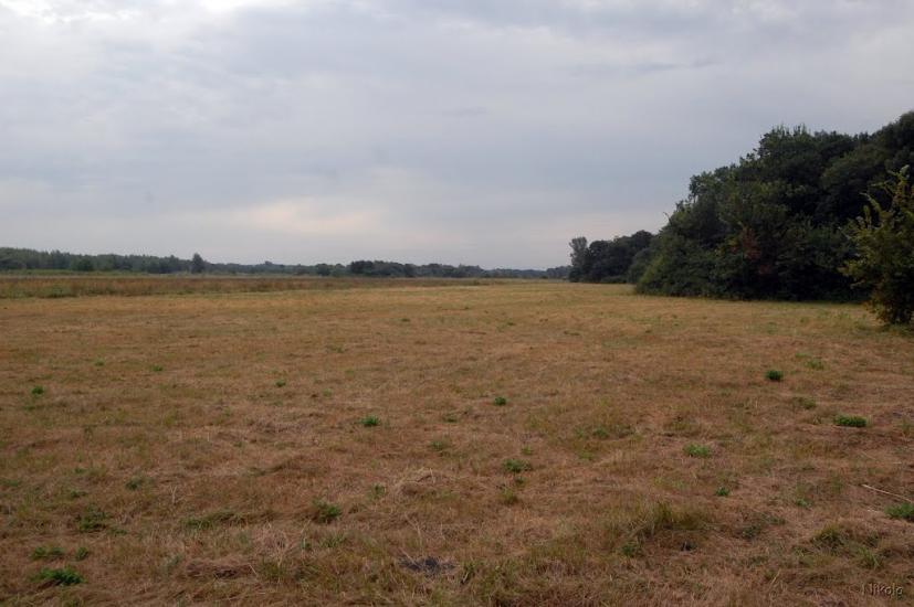 Нижнє з panoramio.com - Nyzhnye