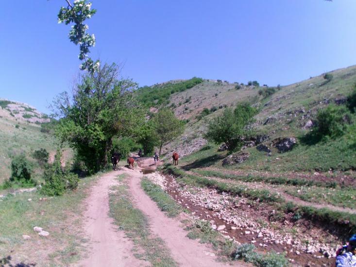 Дружне з panoramio.com - Дружне