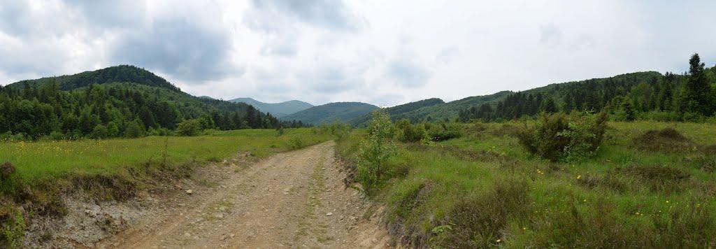 Крушельниця з panoramio.com - Крушельница